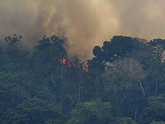 Deforestation In The Amazon In...